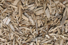 biomass boilers Carbrain
