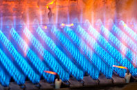 Carbrain gas fired boilers